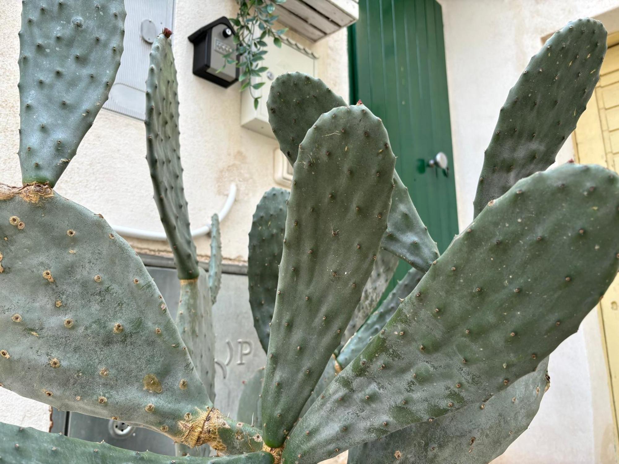 Casa Ostuni Mono Lovely Eksteriør bilde